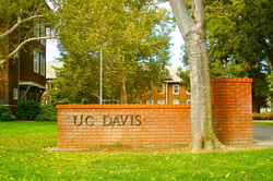 UC DAVIS.jpg