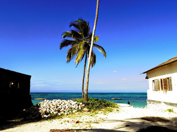 稲村さん１jpgのサムネール画像