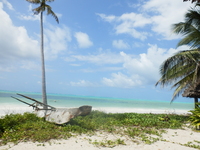 森さん③P7070344.JPGのサムネール画像