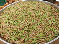 森さん④.JPGのサムネール画像